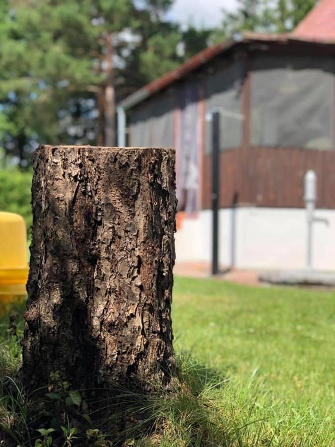 Chata U Smoliku Borovany  Buitenkant foto